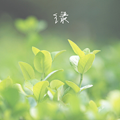 LIJINGPING采集到草地