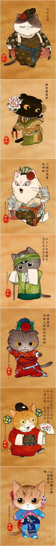 婷少采集到猫