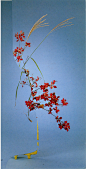 Nicola Kloosterman Reimagines Traditional Ikebana - IGNANT (2)