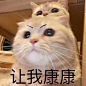 今日份表情包合集，快冲鸭！ ​​​​
