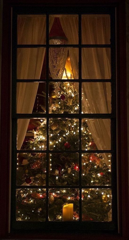 (81) Pinterest