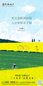 中海地产节气稿-立秋
