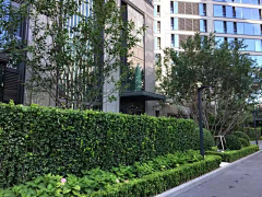 Moliering采集到线性景观