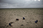 摄影：Ed Ou，Getty Images提供
    2010年3月15号，几个索马里难民在去也门的途中，一夜奔波后，在离弃的索马里兰的沙漠上休息。
    这组专题摄影，加拿大摄影师Ed Ou记录了难民是如何逃出索马里的。
    伊斯兰教的内战、恐怖主义和干旱使索马里100万人民背井离乡。