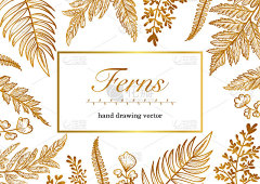 蕨类素描艺术手绘矢量