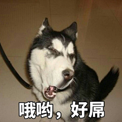 她曾是我的一半采集到萌犬