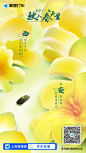 壹作内容创意｜高德打车探春海报-西安迎春花