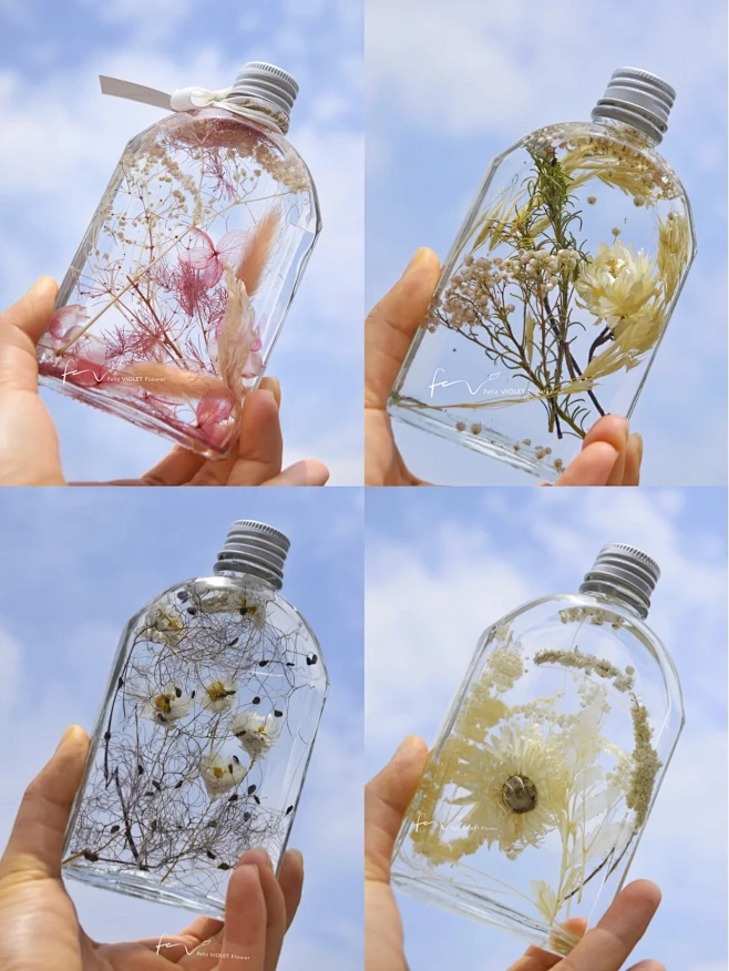 干花认识 | 植物标本浮游花