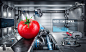 Live In Original Nature-TOSHIBA Refrigerator : live In Original Nature
