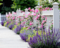 530K Landscape Design Ideas & Remodel Pictures | Houzz