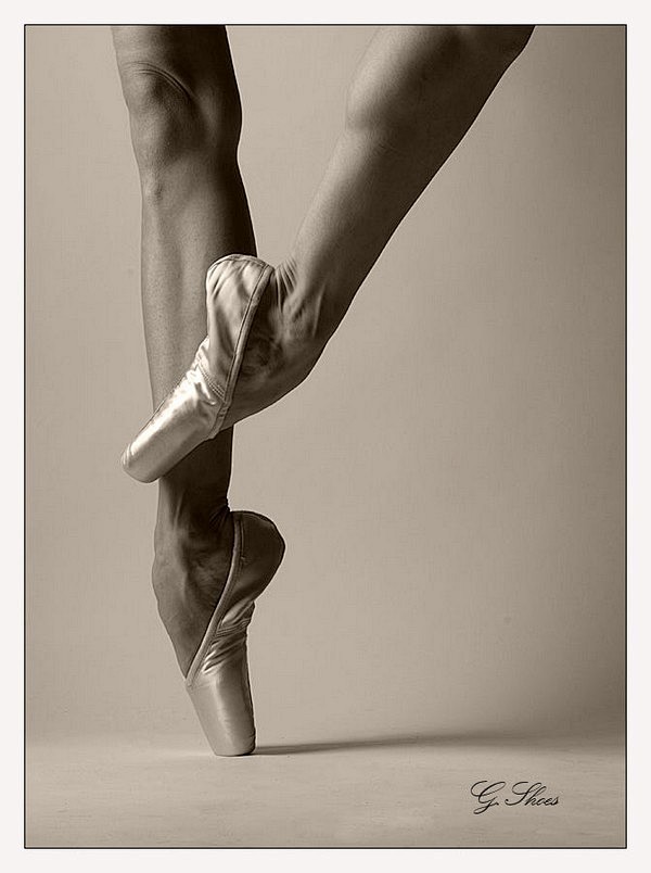 足尖上的芭蕾[29] - - 全球摄影网