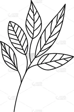 白色,枝,叶子,华丽的,清新,乡村风格,植物,剪影,复古,绘制