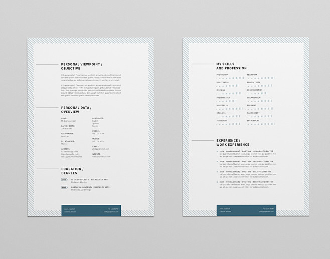 Minimal Resume / CV ...