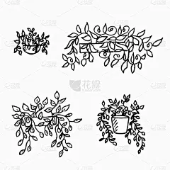 涂鸦室内花卉植物，盆栽植物设置手绘设计元素。室内植物的黑白插图。涂鸦，室内，花卉，植物，
