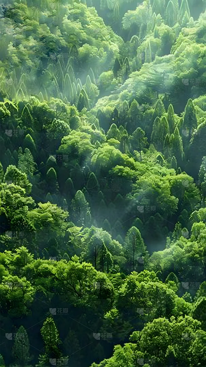 植物通用俯视森林场景背景图片素材