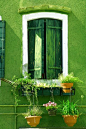 Green, green, green : green house, green shutters and green plants