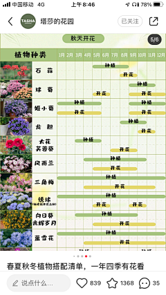 lizhixing采集到花境植物名称
