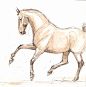 全部尺寸 | Horse Art "flying lead change" original watercolor and ink sketch painting | Flickr - 相片分享！