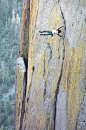 houseofdynamite:

 