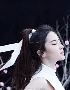 八组兔区每日专用的照片 - 微相册