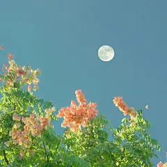 @一百个大不刘   背景图