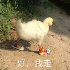 (16 条消息) 高清 表情包 - 搜索结果 - 知乎 : 有问题，上知乎。知乎，可信赖的问答社区，以让每个人高效获得可信赖的解答为使命。知乎凭借认真、专业和友善的社区氛围，结构化、易获得的优质内容，基于问答的内容生产方式和独特的社区机制，吸引、聚集了各行各业中大量的亲历者、内行人、领域专家、领域爱好者，将高质量的内容透过人的节点来成规模地生产和分享。用户通过问答等交流方式建立信任和连接，打造和提升个人影响力，并发现、获得新机会。