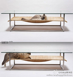 猎狐先生Leef采集到桌