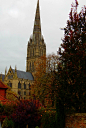 Salisbury Cathedral, Salisbury, Wiltshire, England, UK
