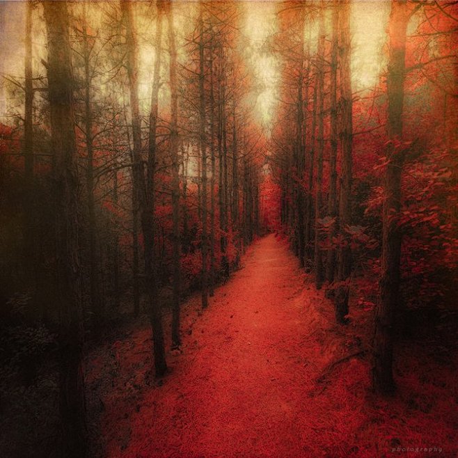 [如诗如画感] Ildiko Neer ...