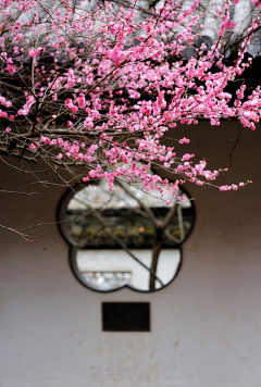 忒啾`采集到境，景