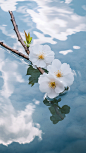春分节日节气海报素材 (13)