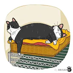 插画丨猫咪的百种迷惑行为大赏，我等凡人真的看不懂猫主子的想法啊 (9)