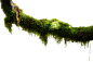 03b94bd708bf4245c162356b37ed5c12930bed0e275539-z4KFUu_fw1200