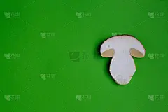 牛肝横切面在绿纸上。