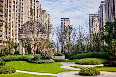 茉莉venom采集到Landscape ︱景观植物组团