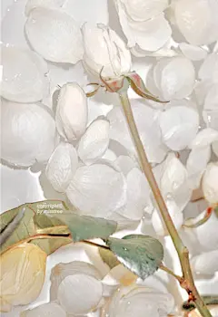 很有质感的手机微信皮肤最新版 微信可做聊天背景的好看壁纸