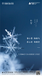 小雪-02