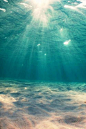 Under the Sparkling Sea: 