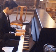 密址幽处，斑斓彩蝶