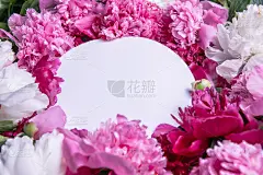 粉色牡丹单色贺卡。牡丹花清香，叶与纸成圆圈。母亲节，生日，浪漫的贺卡与复制空间，文字的地方。