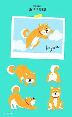 宠物小猫小狗照片食物流泪笼子插画