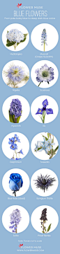 Our Favorite: Blue Flowers! See more on Flower Muse blog: http://www.flowermuse.com/blog/favorite-blue-flowers/: 