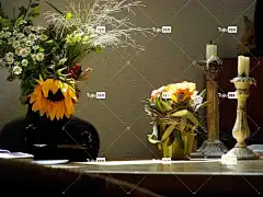 浪漫 花 阳光 早晨的问候语 诗歌
