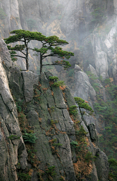 泥塑的藝術空间（勿扰）采集到岩石