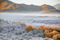 白露为霜的大九湖摄影照片