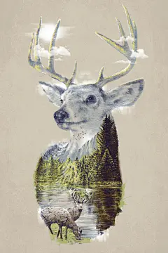 环保插画作品欣赏 | 思念往昔