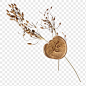 Download premium png of Dried flower collage sticker png, vintage scrapbook paper clip art with gold wax seal  by Nunny about vintage, scrapbook, dried flower, stamp, and wax seal stamp 4120886
