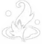 米卡 | Genshin Impact Database - Honey Hunter World : 平凡家庭出身的年轻骑士，在小队中担任「前进测绘员」一职。为人低调，谨小慎微。
