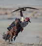 Eagle_festival_mongolia_tours_3.jpg (681×749)