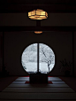 寧靜の美｜日本鐮倉明月院的禪味本堂的四季